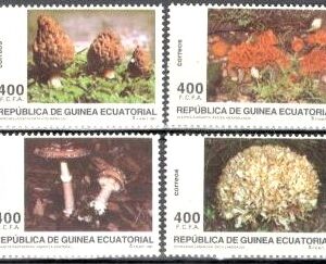1997.-Micologia