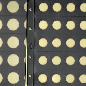 Hojas Pardo para monedas.  Ref: 773/774